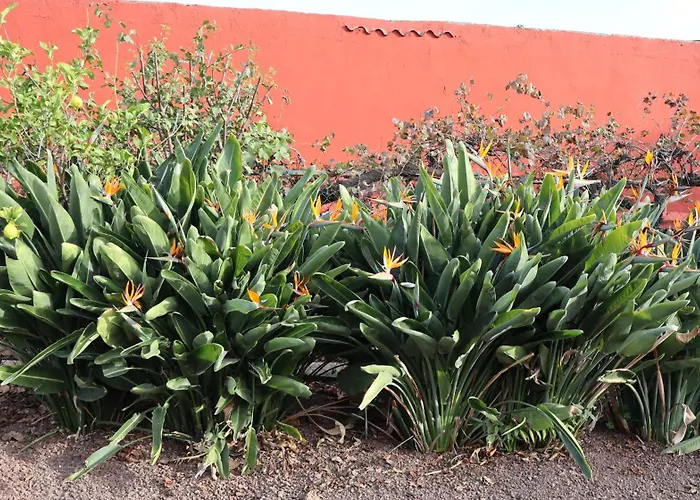 Casa Rural En San Mateo