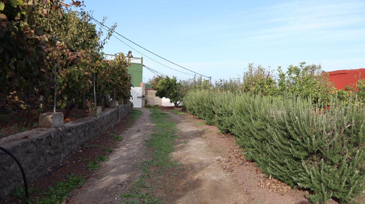 Appartement En San Mateo